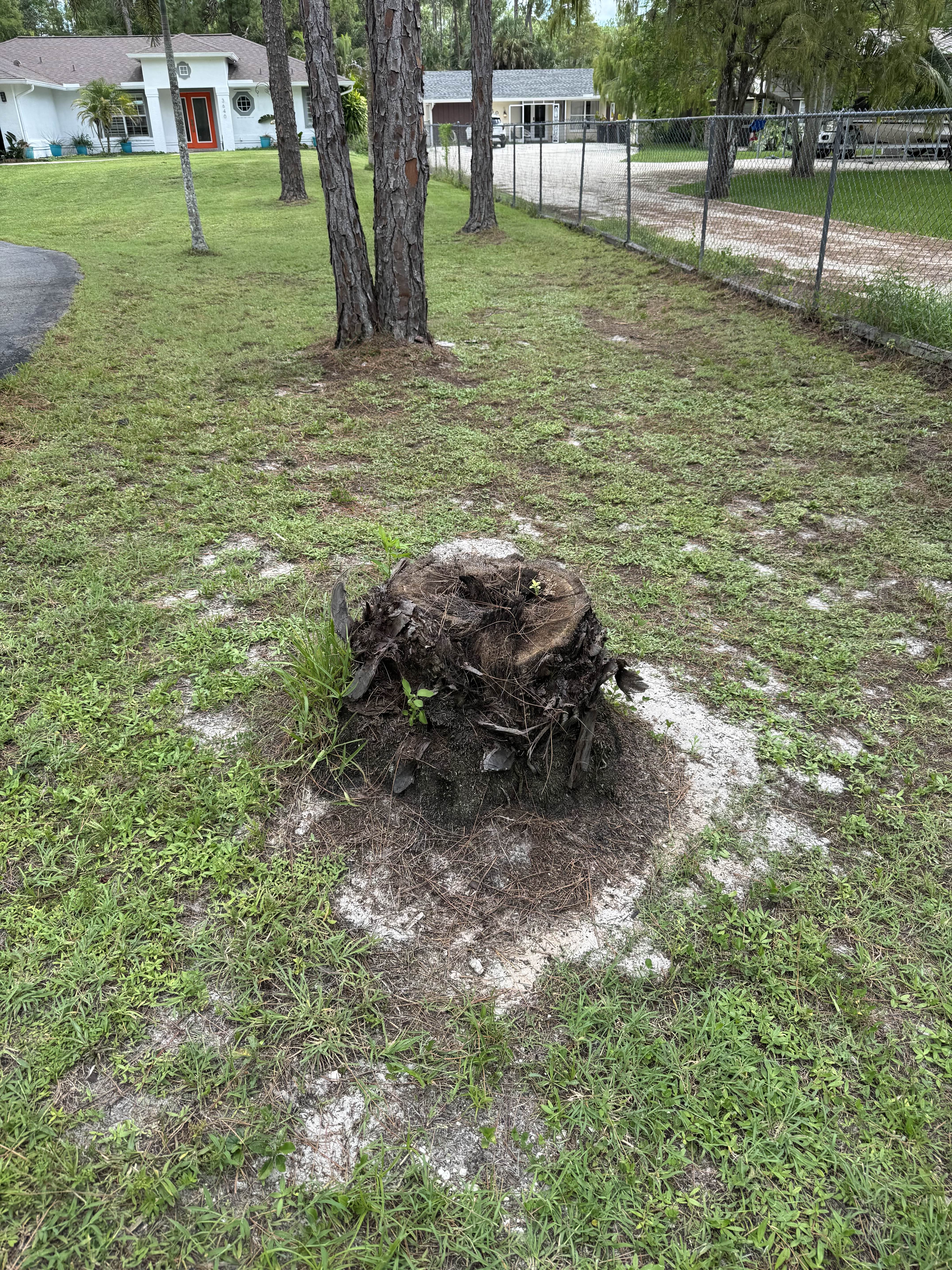 Before Image 2